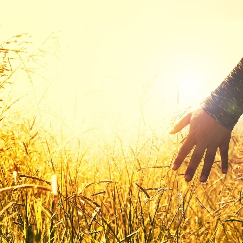 Is it harder to feel or not to feel?