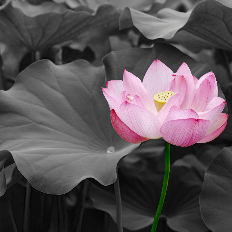 What is sacred in your life?