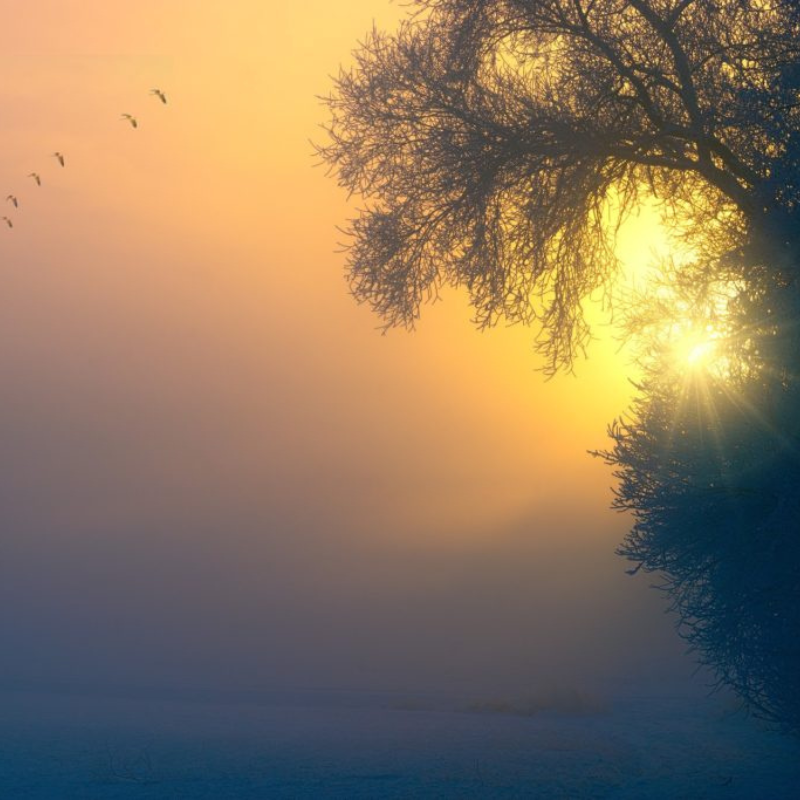 Perfectionism is a Form of Blindness