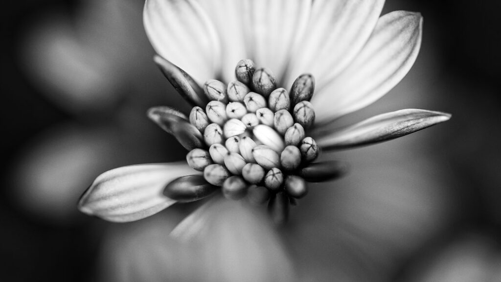 A Non-Practicing Perfectionist