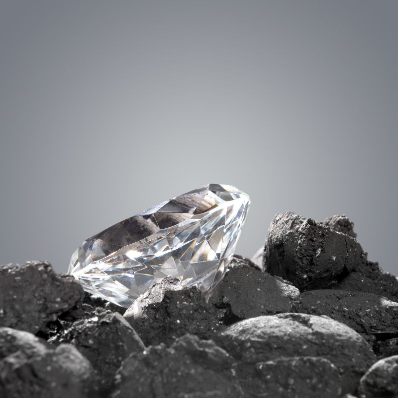 The Diamond and the Lump of Coal: A New Year's Wish