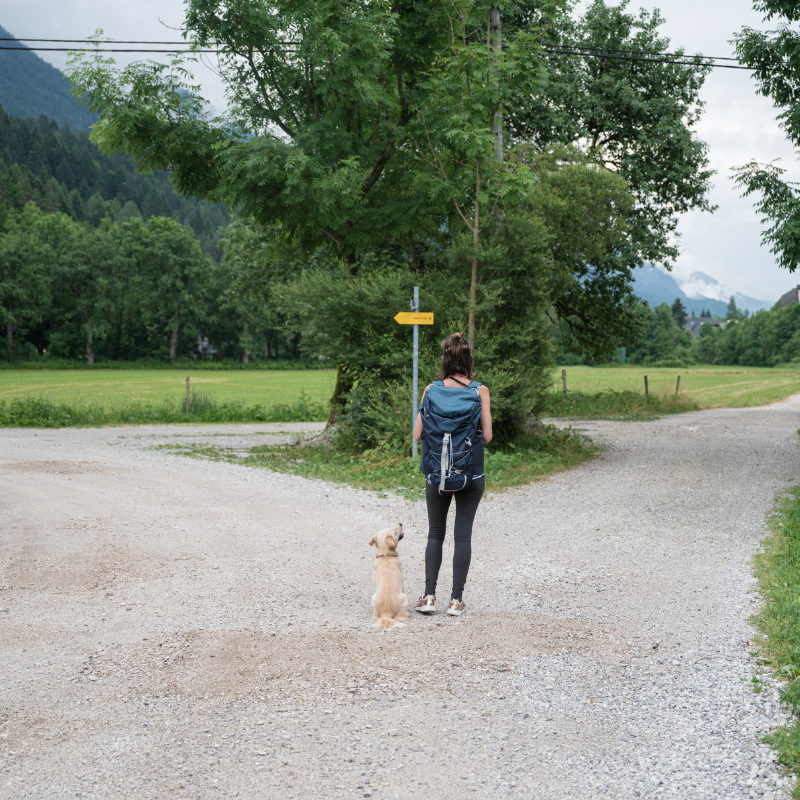 Does Your View of Life Support You?