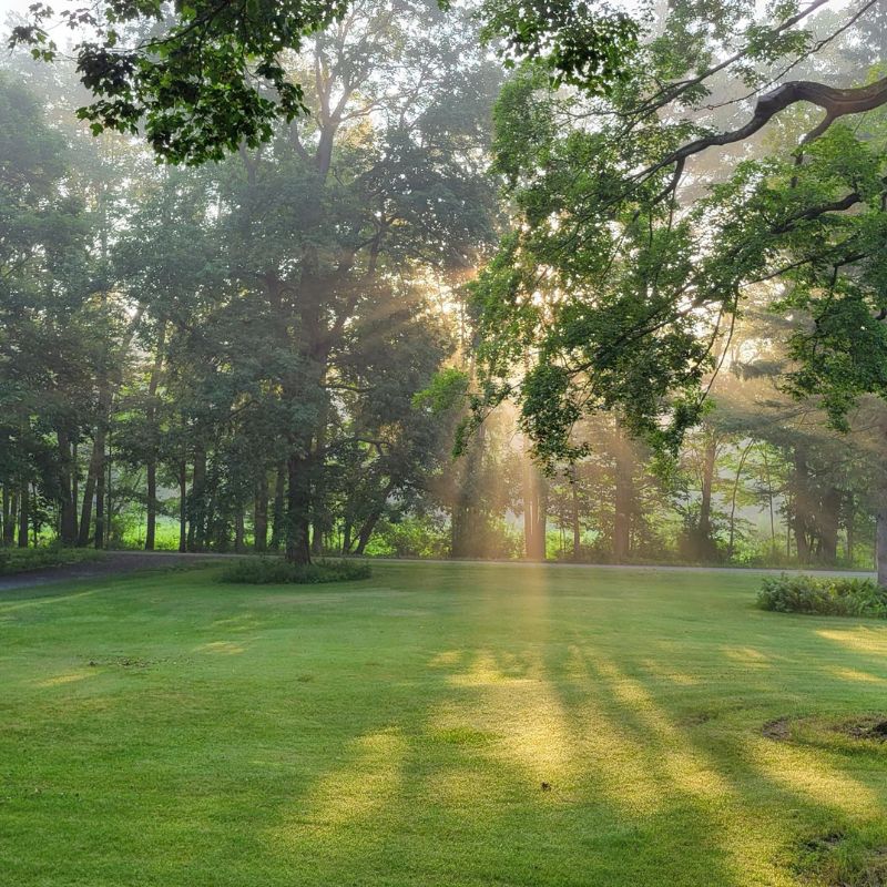 Peaceful morning light in Gary Stine’s backyard symbolizing clarity and identity after retirement.
